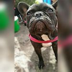 Profile Picture of jacob_smithers (@jacob_smithers_) on Instagram