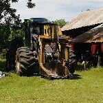 Profile Picture of dominic thornton (@dominicthorn) on Instagram