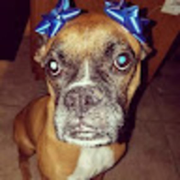 Profile Picture of Harmony Jackson (@harmonyjacks269) on Poshmark