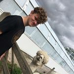 Tom Melling - Instagram Profile Picture of Tom Melling (@tommelling257) on Instagram