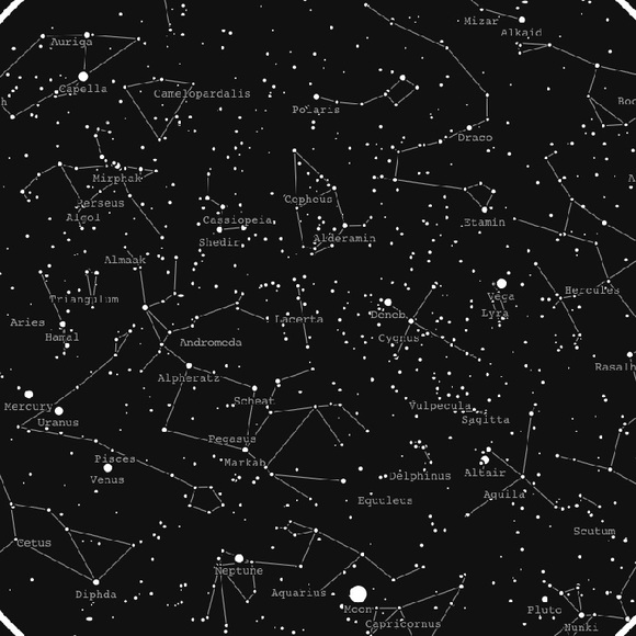 Profile Picture of Macy Struckmann (@macystruckmann) on Poshmark