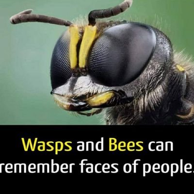 Profile Picture of George Kalinowski (@GeorgeKalinows1) on Twitter