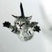 Profile Picture of Roberta la gatta (@robertamassimil) on Pinterest