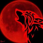 Profile Picture of Christopher Kurzawski (@christopher.kurzawski) on Facebook