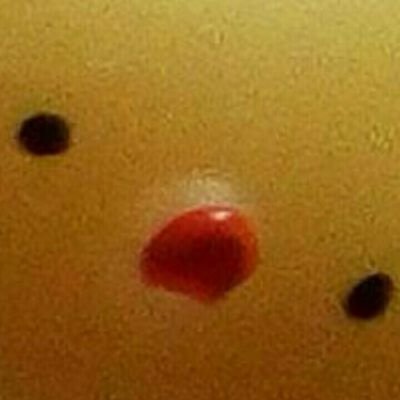 Danone 😦 - Twitter Profile Picture of Danone 😦 (@DanielRubio00) on Twitter