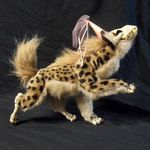 Profile Picture of J. Shaw & K. Vlietstra (@wormsandbones) on Instagram