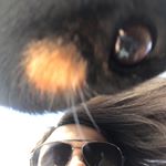 Profile Picture of Ella (@ella._.wolfe) on Instagram