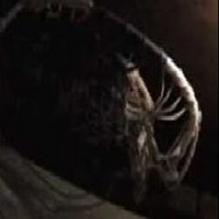 Profile Picture of Chris Dibella (@chris-dibella-3) on Quora