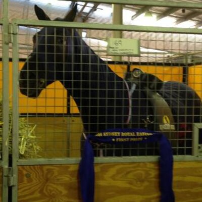 Brendan Rea - Twitter Profile Picture of Brendan Rea (@yappy1960) on Twitter