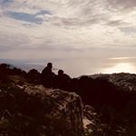 Profile Picture of Andrew Abboud (@andrew_abboud) on Instagram