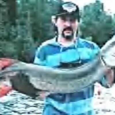 Profile Picture of Brian Remus (@bremus56358) on Twitter