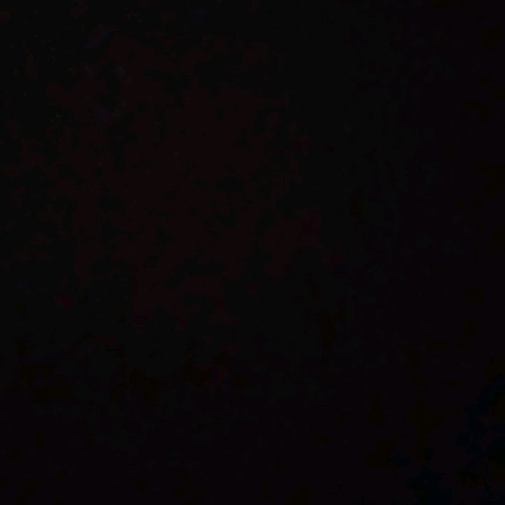 Profile Picture of ferragamo. (@ferragamo019) on Tiktok