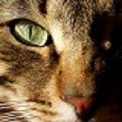 Profile Picture of Jorge Brinkerhoff (@Jorge23Graciela) on Twitter