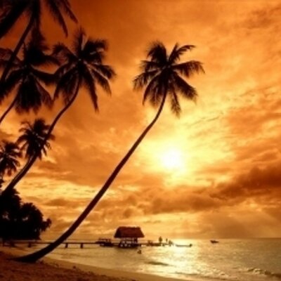 Profile Picture of Luis (@LuisEnciso) on Twitter