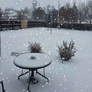 Profile Picture of Nancy Burdick212 (@nburdick1951) on Tiktok