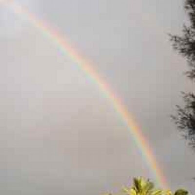 Profile Picture of Maureen Chung (@mchungkauai) on Twitter