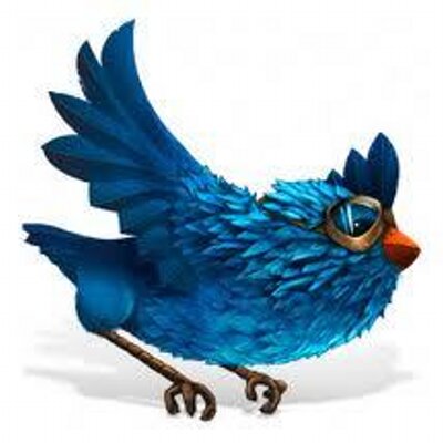 Profile Picture of Dennis Magnusson (@activistflyer) on Twitter