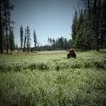 Profile Picture of David Gorczyca (@davidgorczyca) on Instagram