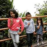 Profile Picture of iris_–¹¹.¹¹.²00⅛💗💖💝🎂 (@dyniaarny_) on Instagram