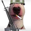 Profile Picture of Darrin Daniels (@@darrindaniels_420) on Tiktok