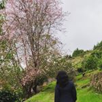Profile Picture of Dr Meera James (@meera_james_) on Instagram