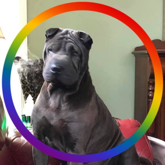 Profile Picture of Candace Haithcoat (@taurusmother) on Poshmark