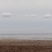 Profile Picture of Cecilia Varela (@ceciliavarela3329) on Youtube