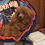 Profile Picture of Roberta Katona (@robertakatona) on Instagram