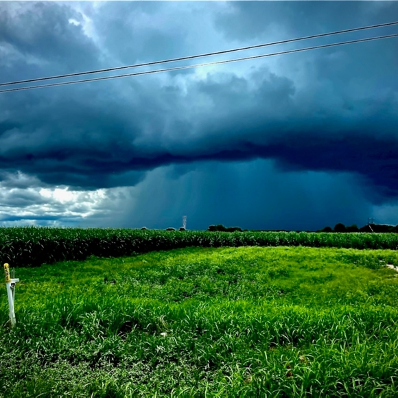 Profile Picture of Amy Richard (@abrichard337) on Poshmark