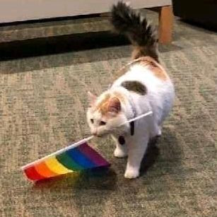 Profile Picture of That one kid (@devinsearles) on Tiktok