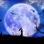 Meekyung - Instagram Profile Picture of Meekyung (@gomsiny) on Instagram