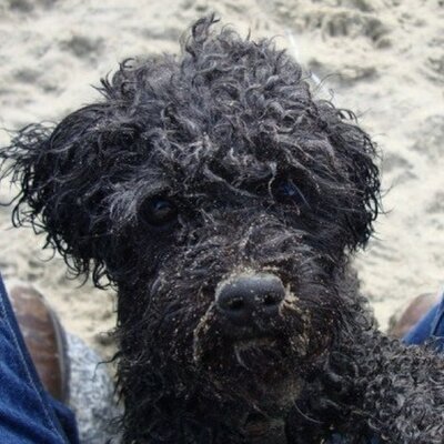 Profile Picture of Michael Varnal (@varnal1) on Twitter