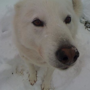 Profile Picture of Kieren Nishihata (@107026133) on Myspace