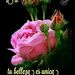 Profile Picture of Nancy Ventocilla (@nancy_ven0110) on Pinterest