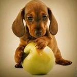 JoAnne Peck - Instagram Profile Picture of JoAnne Peck (@j_lerro) on Instagram