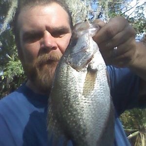 Profile Picture of Jason Grantham (@Mulberry4174) on Twitter