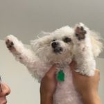 Profile Picture of P H I L L I P (@phillipvu) on Instagram