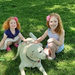 Lisa Harlow Bicknell - Instagram Profile Picture of Lisa Harlow Bicknell (@lisaadambicknell) on Instagram