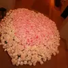 Profile Picture of Macey (@maceywhitty) on Tiktok
