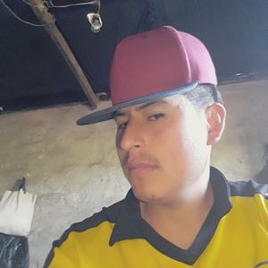 Profile Picture of Alejandro Uria Flore (@FloreUria) on Twitter