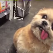 Profile Picture of Bradley Nock (@bradleynock8528) on Youtube