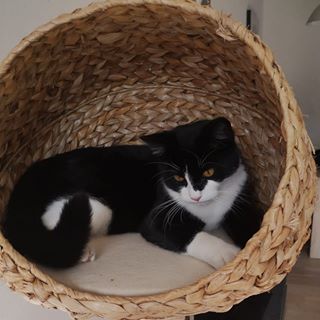 Profile Picture of Richard Chris (@Richard-Chris) on Facebook