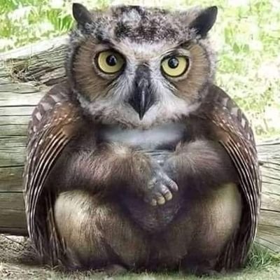 KIRATPAL SINGH YADAV - Twitter Profile Picture of KIRATPAL SINGH YADAV (@KiratAditya) on Twitter