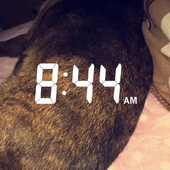 Profile Picture of Rustina Torrez (@rustinaa12) on Poshmark