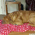 Profile Picture of paula (@paulamortimer07) on Instagram