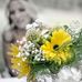 Profile Picture of Janice Sanford (@janice.sanford.58910) on Facebook
