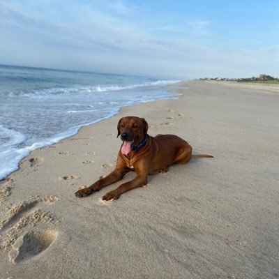 Ray Tierney - Twitter Profile Picture of Ray Tierney (@Tierney3Ray) on Twitter