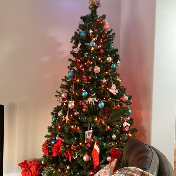 Profile Picture of Haide Haide (@cany9719) on Poshmark