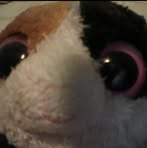 Profile Picture of Richard Bridgeforth (@richard.bridgeforth.5) on Facebook