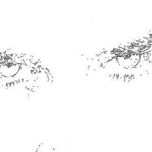 Profile Picture of Jeff Lombardi (@274324376) on Myspace